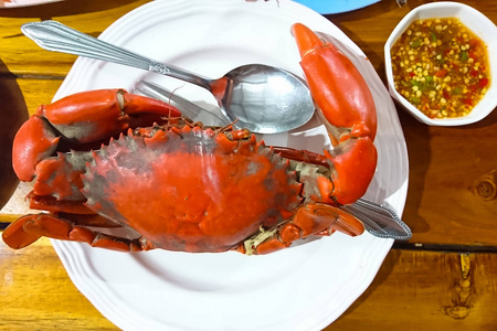 橙色蟹一只大螃蟹在白盘子上放着辛辣酱.它是蒸的, 颜色是橙色的.