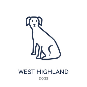 西部高地白毛狗图标。西部高地白毛狗线性符号设计从狗收集。简单的大纲元素向量例证在白色背景