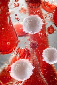 健康人类的红色和白色 bloodcells 宏科学图像中