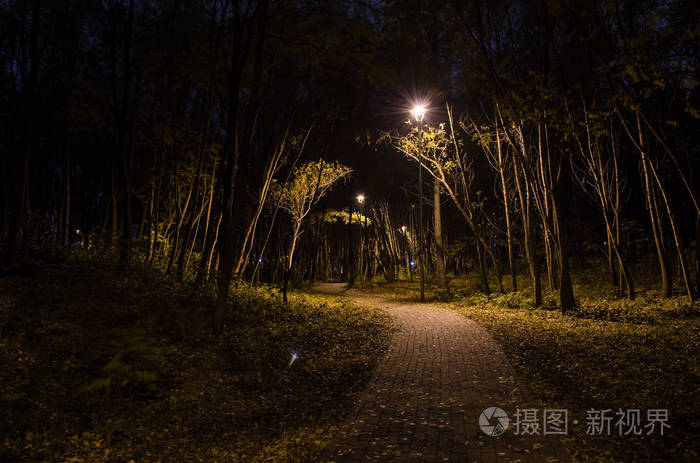 公园里的夜林中的人行道上挂着发光的灯笼。夜园景观