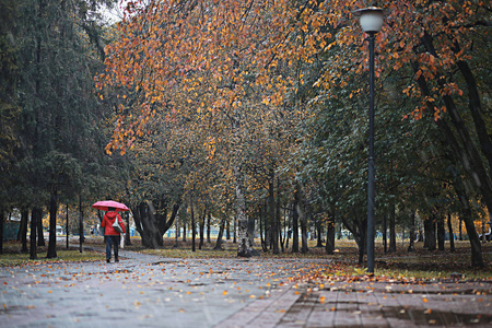 秋天的雨，在公园里