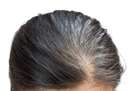 白发图片-白发素材-白发插画-摄图新视界