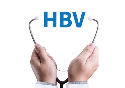 乙型肝炎病毒乙型肝炎病毒HBVPDB1qgt
