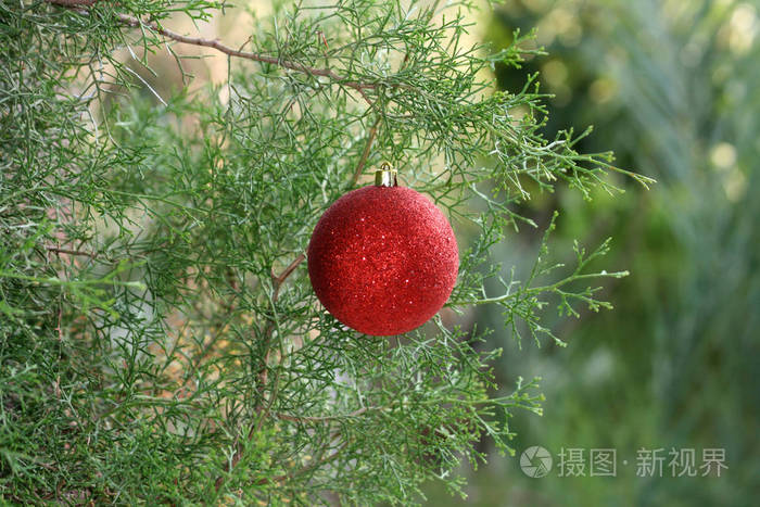 挂在雪松树篱上的红色圣诞小面包