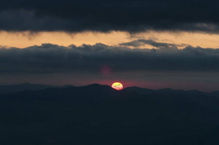 日出 太阳和鸟