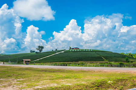 农场门泰国清莱追芳农场的茶园景观是最热门的旅游目的地.