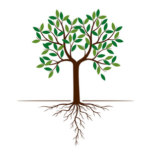 矢量插图.厂房和花园照片