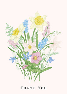 植物学的花束图片-植物学的花束素材-植物学的花束插画-摄图新视界