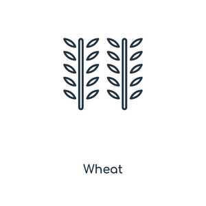 新潮设计风格的小麦图标。在白色背景上分离的小麦图标。小麦矢量图标简单而现代的平面符号为网站手机徽标应用程序ui。小麦图标