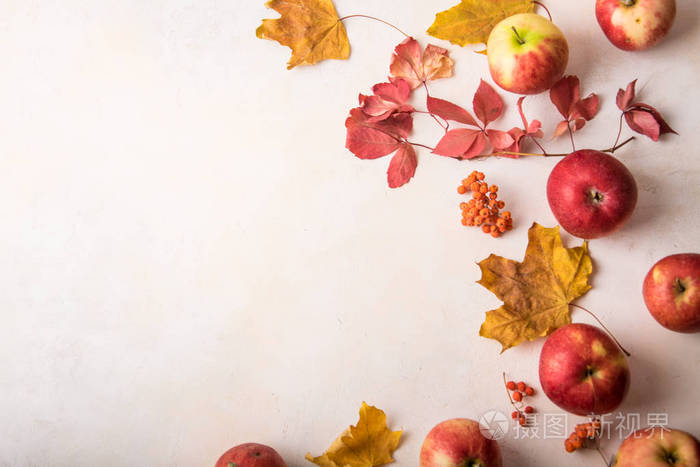 秋天。彩色五颜六色的叶子和成熟的季节性苹果在光的背景下