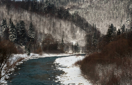 冬季景观山区河流上背景松林图片