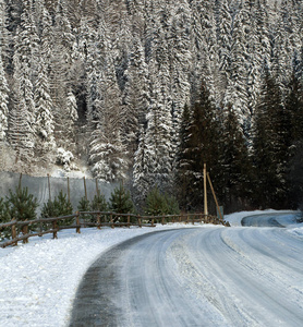 冬季农村公路上松林白雪