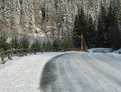 冬季农村公路上松林白雪图片