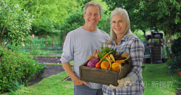 年长的高加索夫妇自豪地展示个人花园的土生土长的农产品