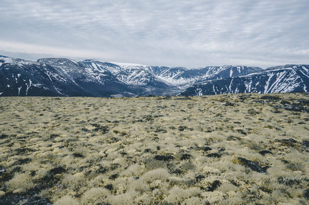 摩尔曼斯克地区科拉半岛艾库艾文乔尔山峰全景