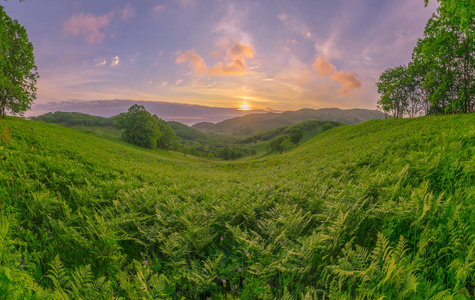 田野, 草地和天空, 夏天