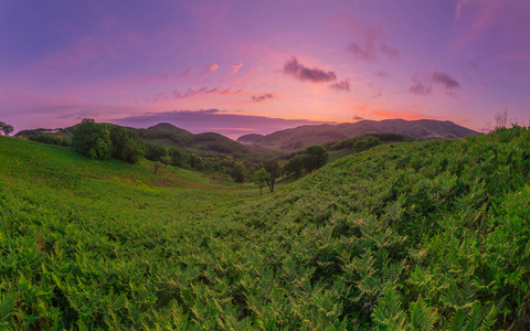 田野, 草地和天空, 夏天