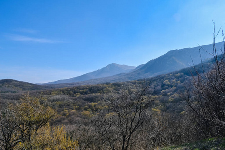 岩石 灌木和秋季克里米亚山雾。美丽的风景