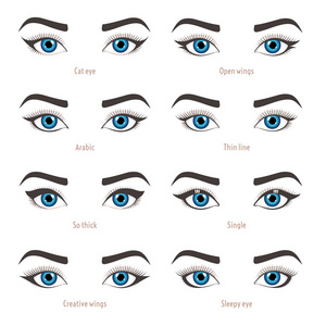 眼睛化妆类型.眼线笔形状的教程.矢量集带字幕照片