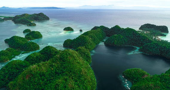 苏巴泻湖鸟图。美丽的风景与蓝色的海泻湖, 国家公园, 锡尔高岛, 菲律宾