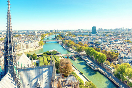 巴黎城市景观与塞纳河, 空中建筑, 屋顶和城市景观