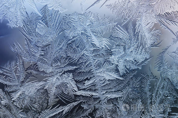 在玻璃上的蓝色背景上的白色雪花美丽节日霜模式