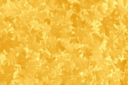 抽象秋季背景 橙色和黄色枫叶树叶子