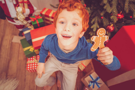 男孩拿着姜饼人在圣诞树附近的最高视野