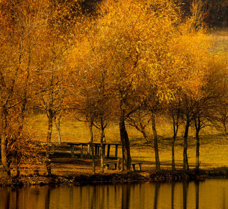秋天的风景美丽的五颜六色的树木在河上, 在阳光下发光。美妙的风景如画的背景。在自然界的颜色。明亮的秋天的树木与他们的倒影在水中