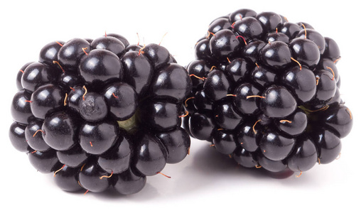 两个黑莓上白色背景特写孤立