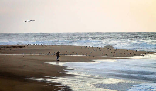这对年轻夫妇在靠近水的海滩上拥抱海鸥。