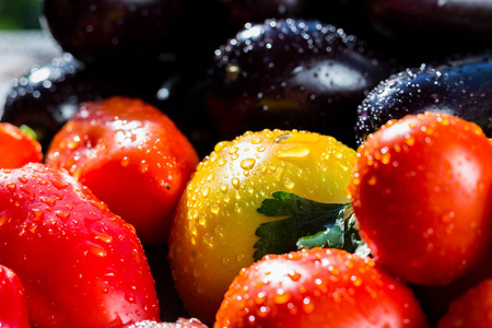 新鲜 成熟的 tomatoesand 茄子的特写镜头。集团西红柿和茄子。红色和黄色的西红柿，西红柿和茄子中的水滴