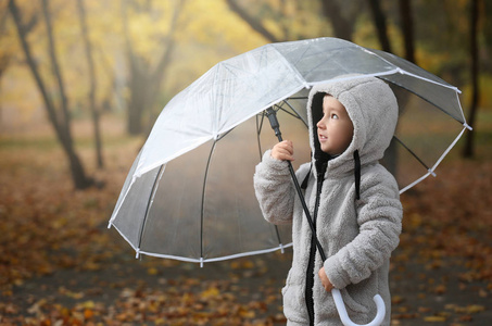 可爱的小男孩与透明伞在秋天公园