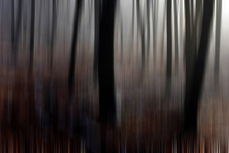 森林中树木的抽象运动模糊