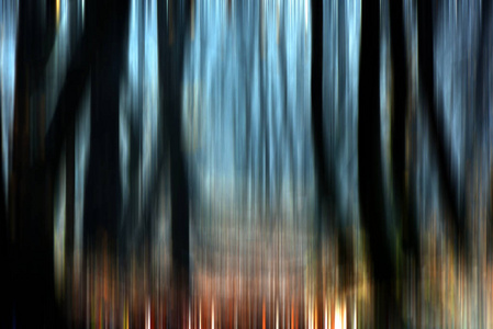 森林中树木的抽象运动模糊