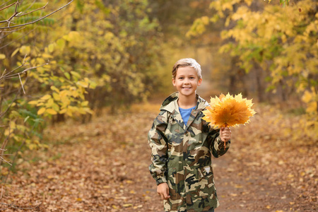 秋天的时候公园里有树叶的可爱的小男孩