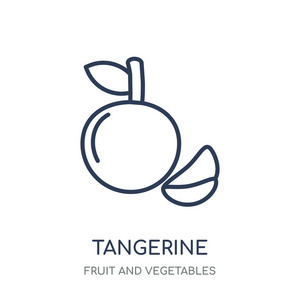 橘子图标。橘子线性符号设计从水果和蔬菜收藏。简单的大纲元素向量例证在白色背景