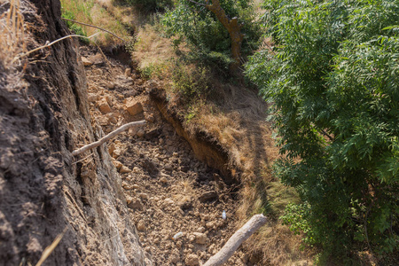 地球上的人图片