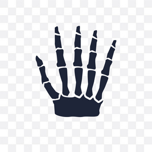 人的手骨透明图标。人体手骨符号设计从人体零件集合