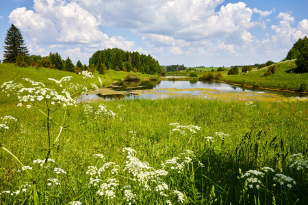 温暖美丽的夏季风景与湖泊和草地。绿意盎然蓝天背景的池塘