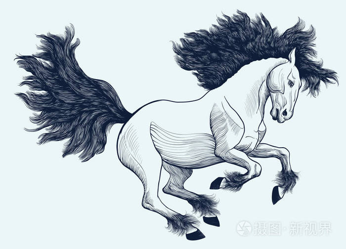 奔腾黑白花马的图形线性图示