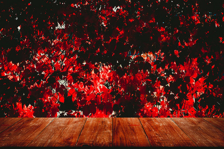 在秋收的日落时, 您可以欣赏到从深色木桌到葡萄园的美景。秋天的葡萄叶子。选择性对焦。色调