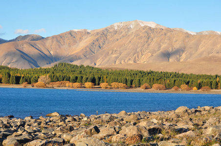 特卡波湖，新西兰风景