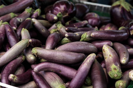紫色茄子蔬菜农场种植的