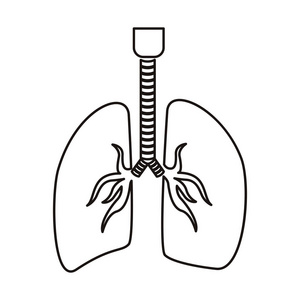 肺的简笔手绘图片图片