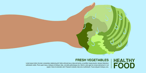 手拿着生菜。健康食品概念