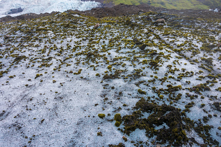 蓝色冰在暗藏的 Svinafellsjokull 冰川泻湖在巨大的 Vatnajokull 冰川的胳膊在南冰岛