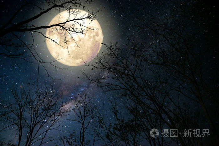 在夜晚的天空中美丽银河系中恒星