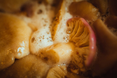 蘑菇煮在锅里特写