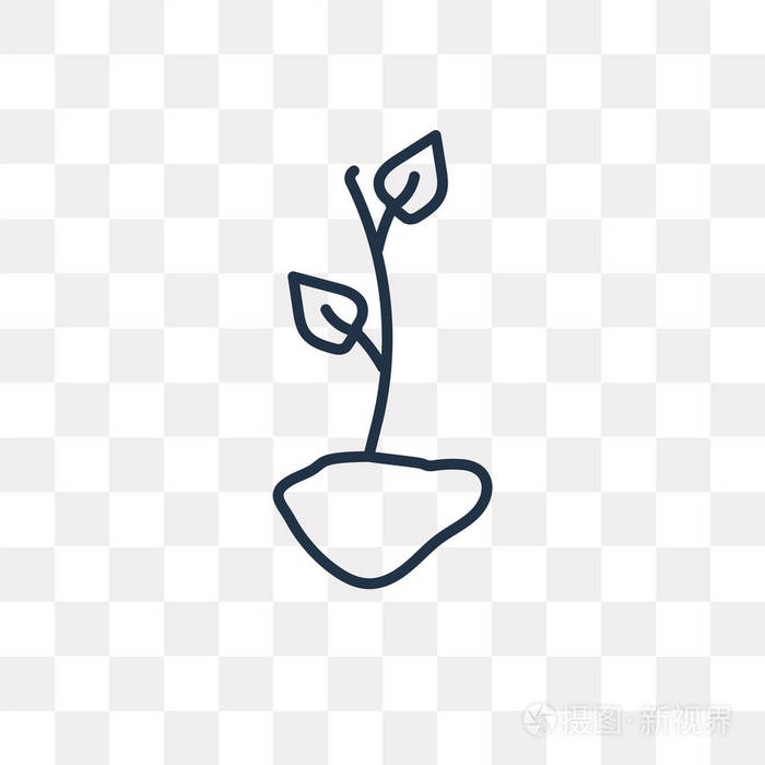 插画 植物矢量轮廓图标隔离在透明背景下, 高质量的线性植物透明度